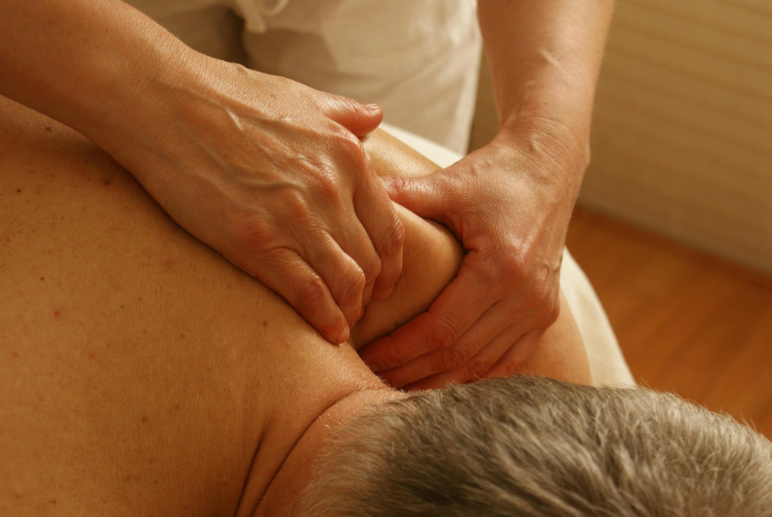 Therapeutic Massage 90 min - Carrollwood, Fl